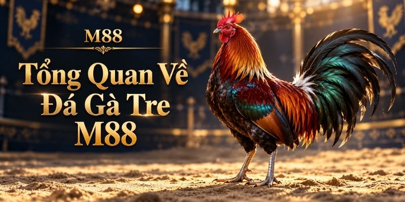 Tổng Quan Về Đá Gà Tre M88