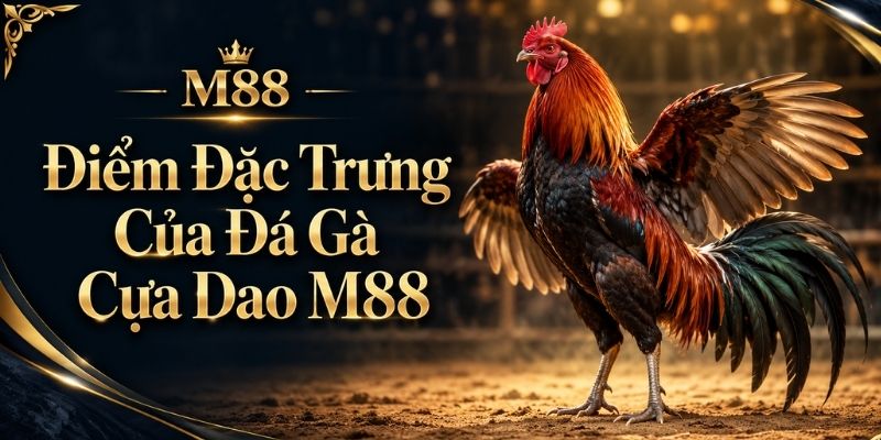 Điểm Đặc Trưng Của Đá Gà Cựa Dao M88
