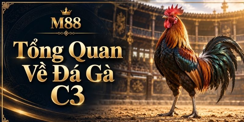 Tổng Quan Về Đá Gà C3