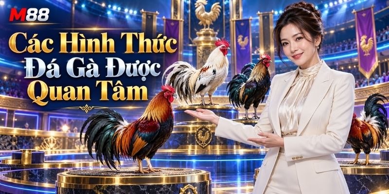 Các Hình Thức Đá Gà Được Quan Tâm